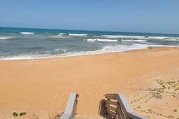 The Blue Dolphin Beach Cottage - Bring you bathing suit and your pup!